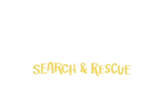 🔥 Hello Neighbor VR: Search and Rescue | Steam RU+CIS