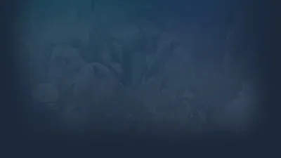 🔥 Nuwa | Steam RU+UA+KZ+CIS 🔥