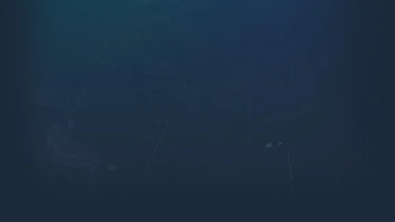 🔥 Silent Hope | Steam RU+UA+KZ+CIS 🔥