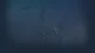 🔥 Mystery at Morgoth | Steam RU+UA+KZ+CIS 🔥