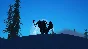 Sledders 💎 АВТОДОСТАВКА STEAM GIFT РОССИЯ