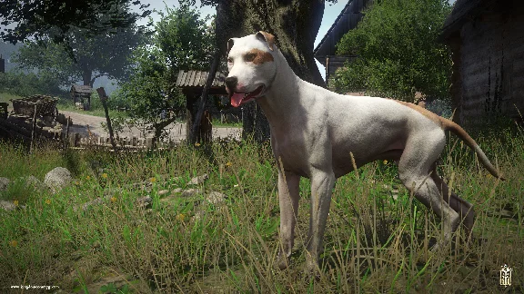 .🍁 Kingdom Come: Deliverance – A Woman´s Lot