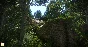 .🍁 Kingdom Come: Deliverance The Amorous Adventures of