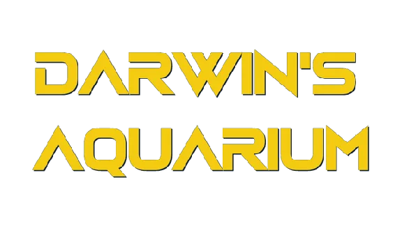 🔥 Darwin´s Aquarium | Steam РУ+UA+KZ+СНГ🔥