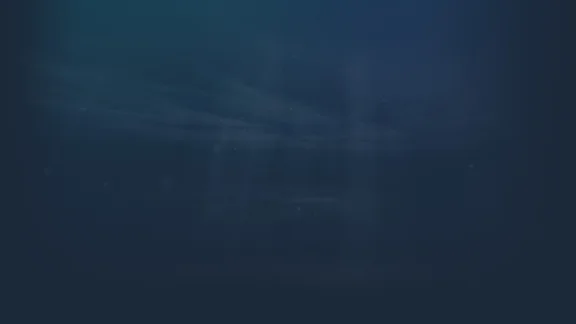 🔥 Darwin´s Aquarium | Steam РУ+UA+KZ+СНГ🔥