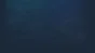 🔥 Thelos | Steam РУ+UA+KZ+СНГ🔥