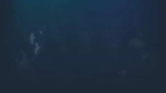 🔥 Finding Xavier | Steam RU+UA+KZ+CIS 🔥