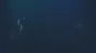 🔥 Finding Xavier | Steam RU+UA+KZ+CIS 🔥