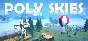 🔥 Poly Skies | Steam RU+UA+KZ+CIS 🔥