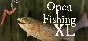 🔥 Open Fishing XL | Steam RU+UA+KZ+CIS 🔥