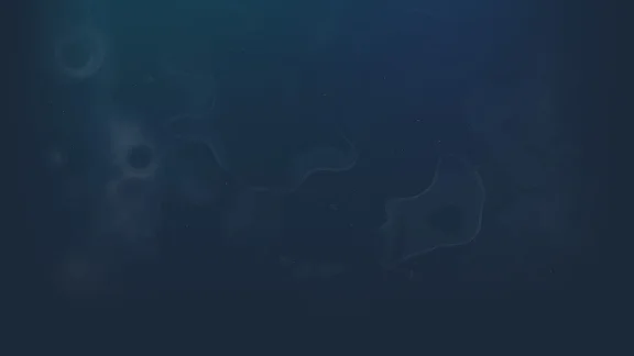 🔥 Nebula | Steam РУ+UA+KZ+СНГ🔥