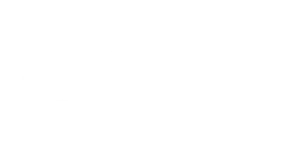 🔥 EL NE RUE | Steam RU+UA+KZ+CIS 🔥