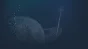 🔥 Dimensions: Dreadnought Architect |Steam RU+UA+KZ+CI