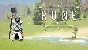 🔥 Rune Teller | Steam RU+UA+KZ+CIS 🔥