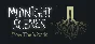 🔥 Midnight Scenes: From the Woods|Steam RU+UA+KZ+CIS �