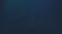 🔥 I WILL BE THERE | Steam РУ+UA+KZ+СНГ🔥