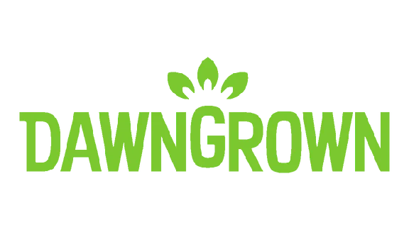 🔥 Dawngrown | Steam RU+UA+KZ+CIS 🔥