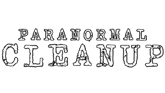 🔥 Paranormal Cleanup | Steam RU+UA+KZ+CIS 🔥