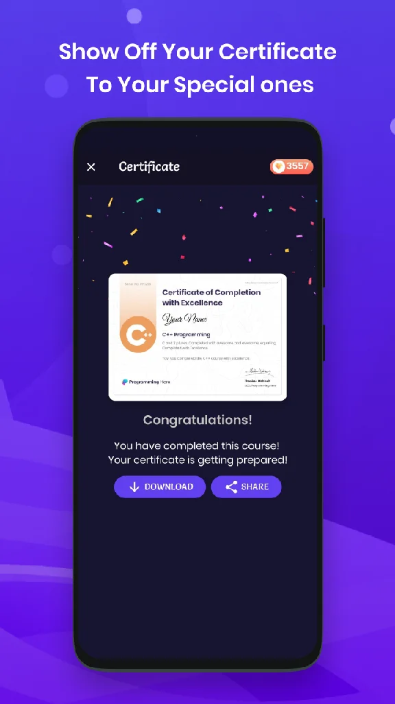 Programming Hero PRO | 12/∞ months to your account