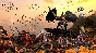 ⭐Total War: Warhammer III⭐On Your STEAM🧿🔰Any region🔰