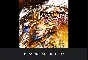 💥DRAGON BALL FIGHTERZ 🔵 PS4/PS5 🔴ТУРЦИЯ🔴