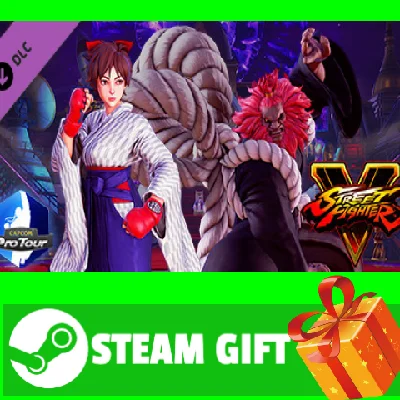 ⭐️ Street Fighter V Capcom Pro Tour 2018 Premier Pass