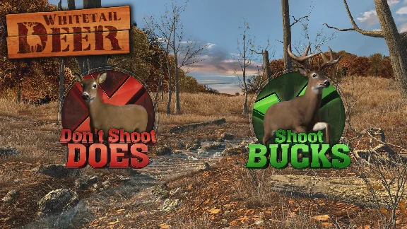❗BIG BUCK HUNTER ARCADE❗XBOX ONE/X|S🔑KEY❗