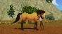 DREAMWORKS SPIRIT LUCKY