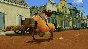 DREAMWORKS SPIRIT LUCKY