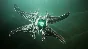 Destiny 2: The Witch Queen Steam Gift UA KZ TR ARG CIS