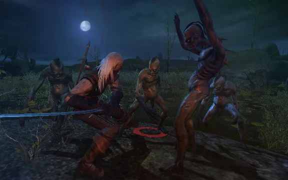 The Witcher: Enhanced Edition Director´s Cut Steam UAKZ