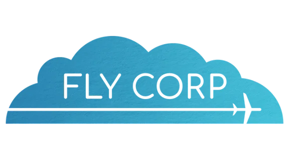 🔥 Fly Corp | Steam RU+UA+KZ+CIS 🔥
