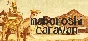 🔥 maboroshi caravan | Steam РУ+UA+KZ+СНГ🔥