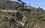 ✅ Arma 3 - 100% Warranty 👍
