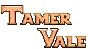 🔥 Tamer Vale | Steam RU+UA+KZ+CIS 🔥