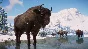 Planet Zoo: Eurasia Animal Pack DLC STEAM ⚡️AUTO 💳0%