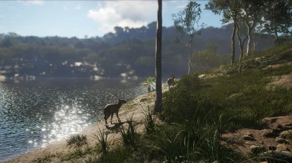 theHunter: Emerald Coast Australia XBOX 🔑Ключ DLC