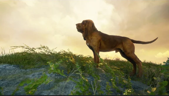 theHunter: Call of the Wild - Bloodhound XBOX🔑Ключ DLC