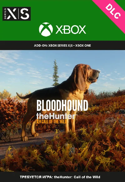 theHunter: Call of the Wild - Bloodhound XBOX🔑Ключ DLC