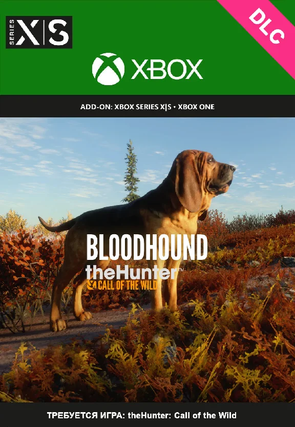 theHunter: Call of the Wild - Bloodhound XBOX🔑Ключ DLC