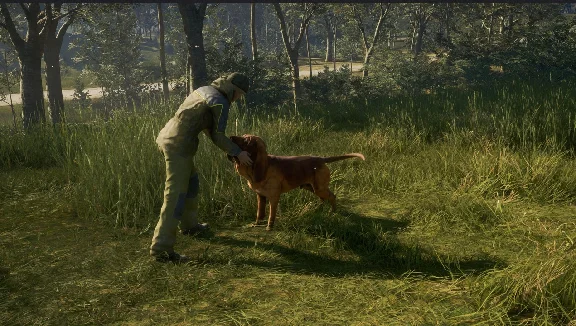 theHunter: Call of the Wild - Bloodhound XBOX🔑Ключ DLC
