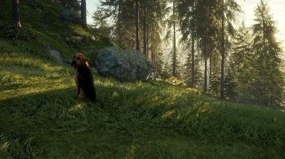 theHunter: Call of the Wild - Bloodhound XBOX🔑Ключ DLC