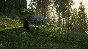 theHunter: Call of the Wild - Bloodhound XBOX🔑Ключ DLC