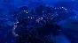 ✅ Planet Zoo - 100% Гарантия 👍