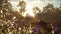 theHunter: Mississippi Acres Preserve XBOX 🔑Key DLC