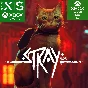 ❗ Stray ❗ Xbox Series X|S Xbox One & ПК 🔑 ключ 🐱vpn ❗