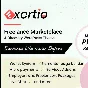 Exertio [1.2.7] - Russification of the theme 🔥💜