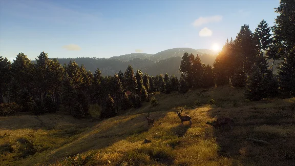 ❗WAY OF THE HUNTER❗XBOX X|S🔑KEY❗