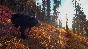 ❗WAY OF THE HUNTER❗XBOX X|S🔑KEY❗