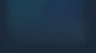 🔥 Cat Herder | Steam РУ+UA+KZ+СНГ🔥
